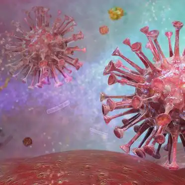 印度尼帕病毒疫情最新消息：确诊5例1人病危无死亡